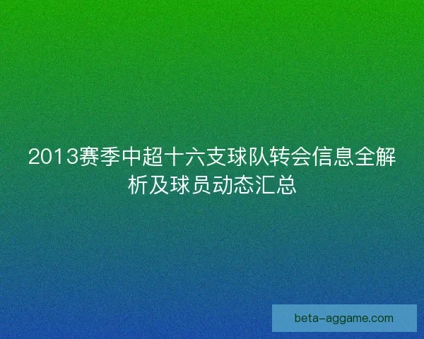 2013赛季中超十六支球队转会信息全解析及球员动态汇总